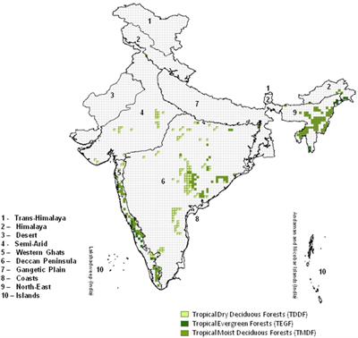 Forecasting <mark class="highlighted">wildfires</mark> in major forest types of India